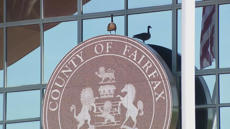 Fairfax County aims to close child care gaps by increasing capacity ...