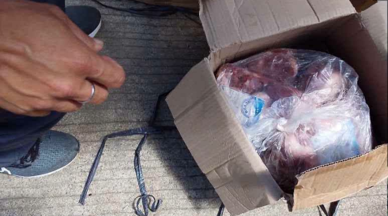 Hot meat seized in Cagayan
