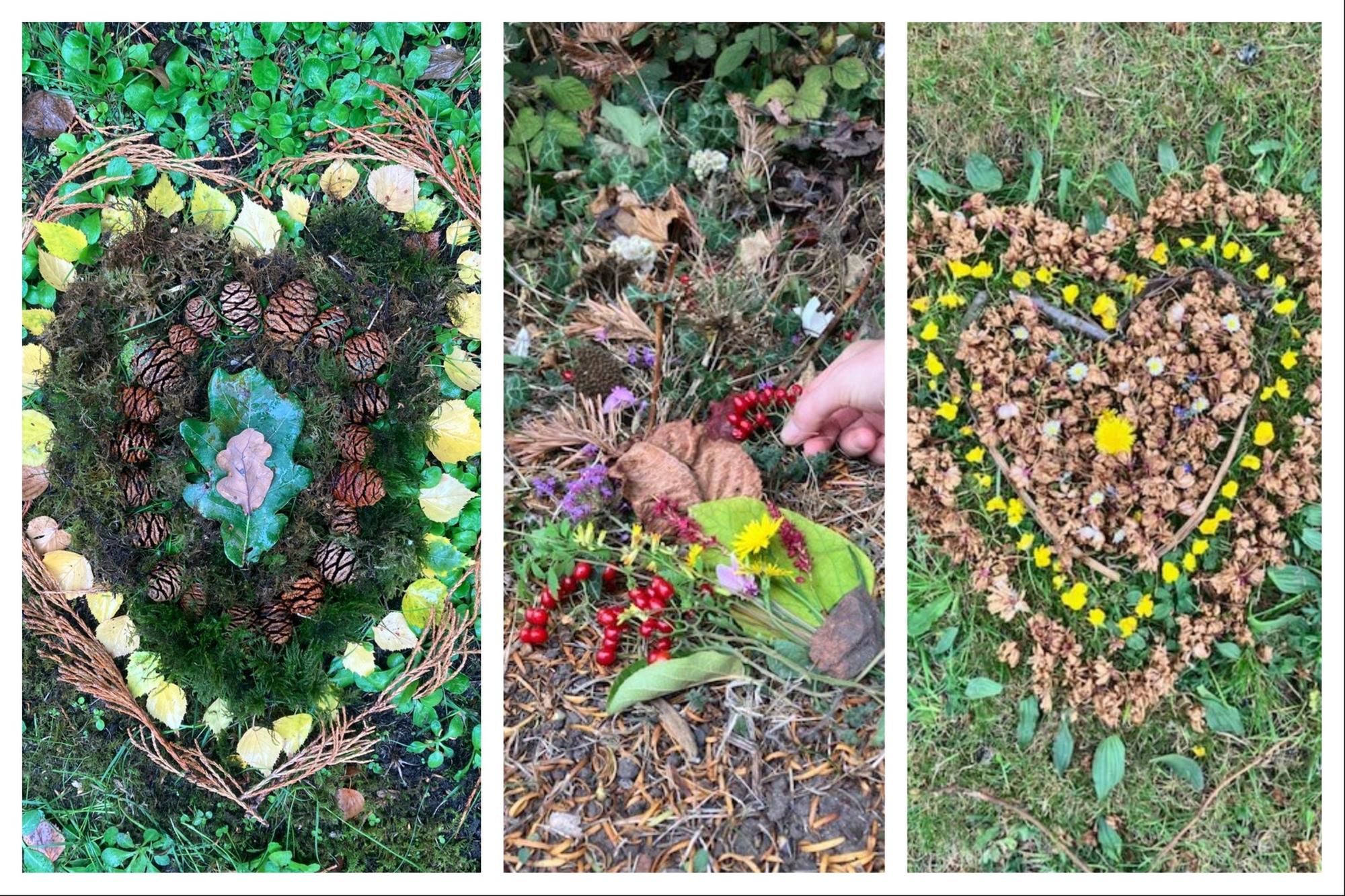 Monthly nature-themed support sessions in Leamington for anyone ...