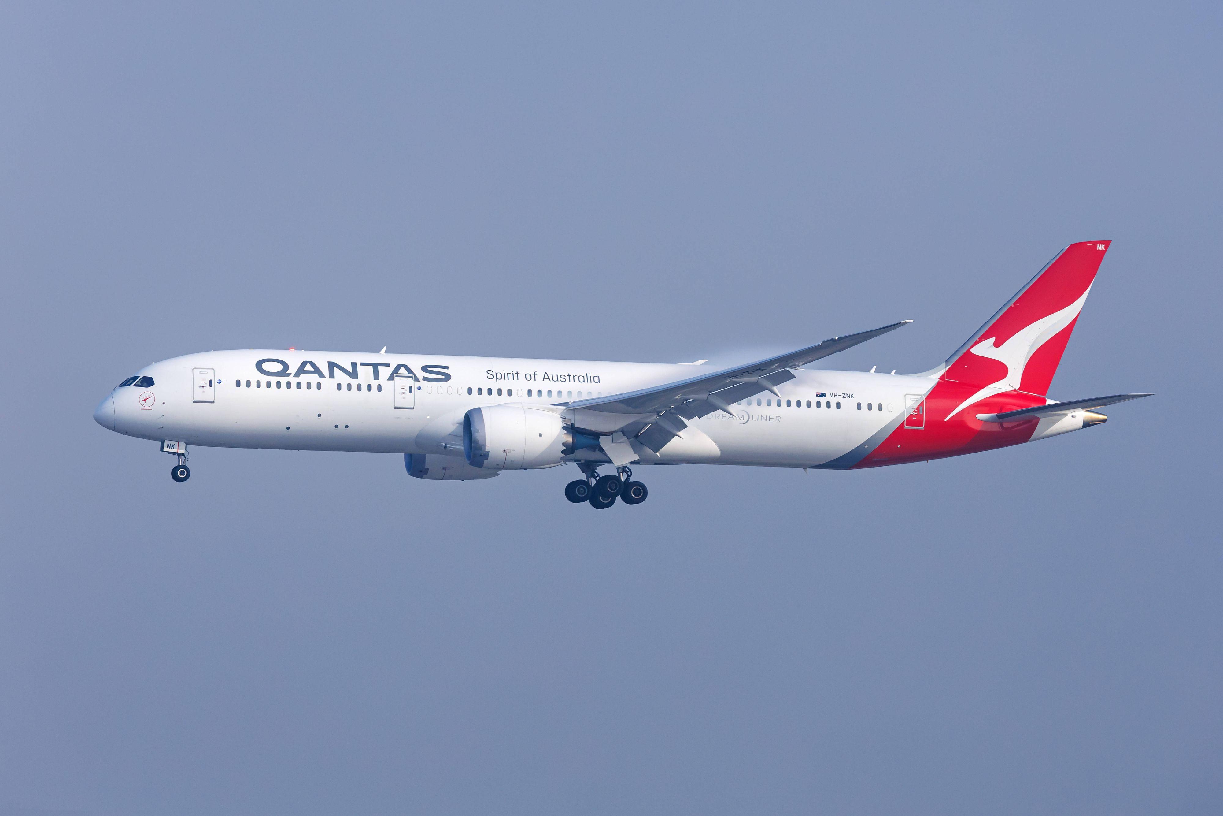 Albtraum-Flug im Dreamliner: Blutsaugende Bettwanzen terrorisieren ...