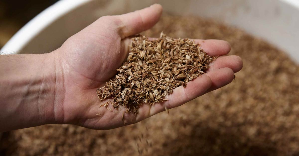 This innovative food movement turns waste into delicious, nutritious ...