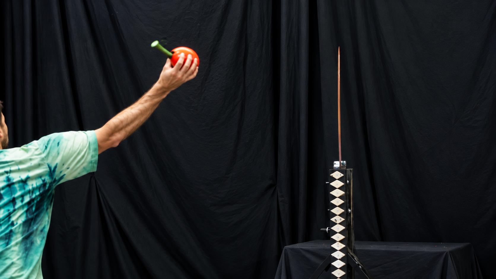 They threw different sports balls at a razor-sharp sword… some were ...