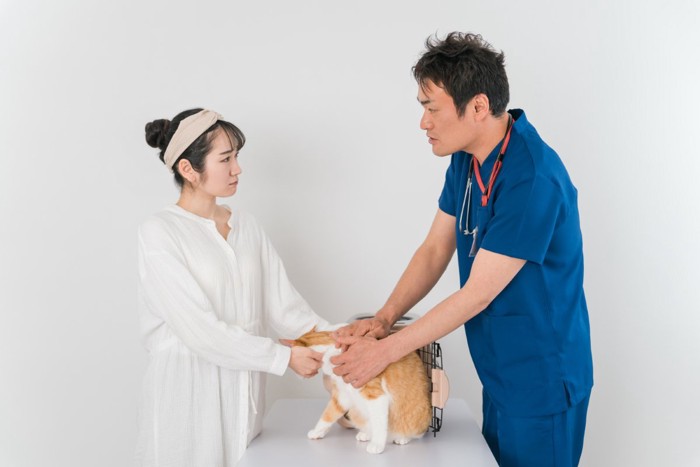 猫が『苦しそうに呼吸』をしているときに疑われる原因4つ 異常のサインや取るべき対応まで