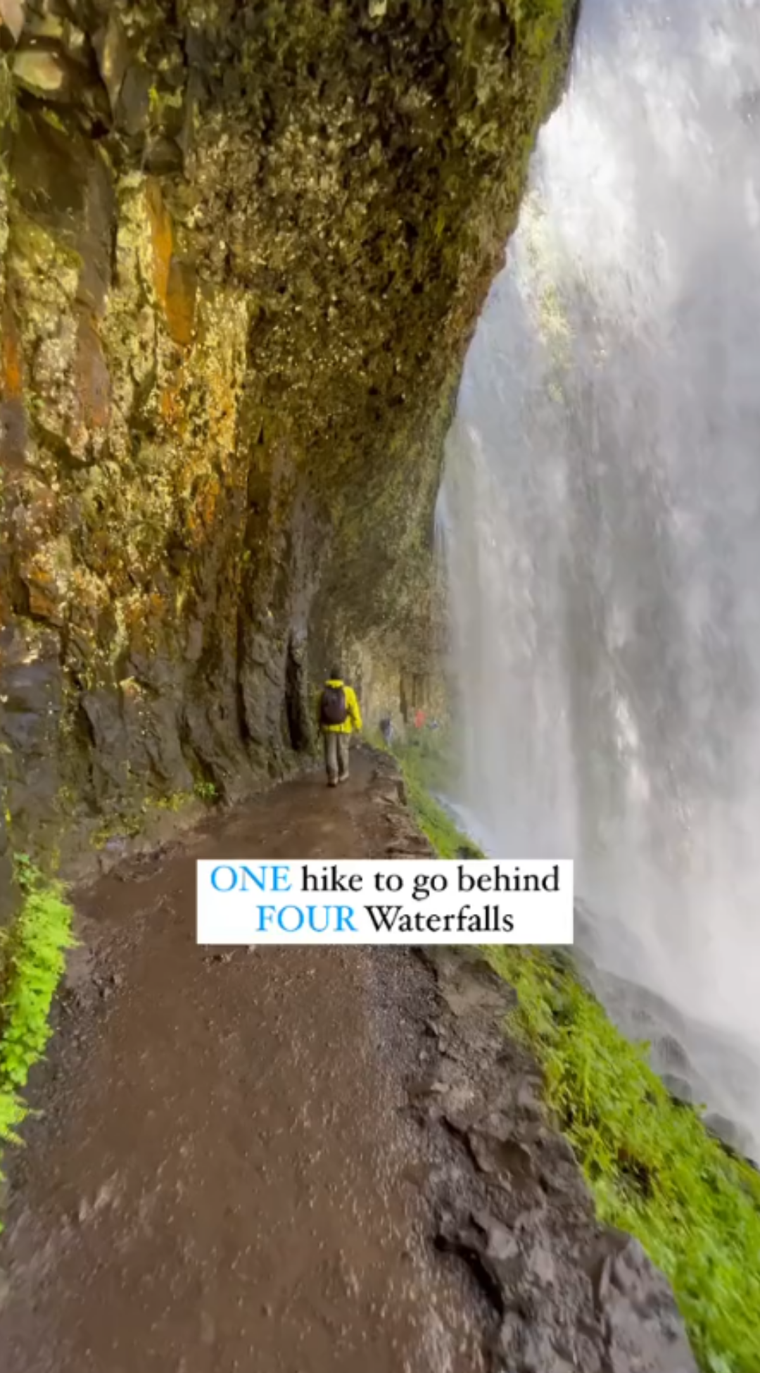Discover a hidden trail with four stunning waterfalls