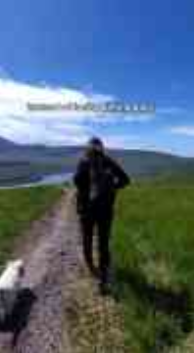 Dogs deserve endless love and care