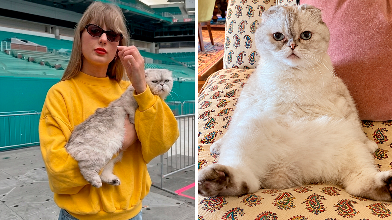 Taylor Swift’s cat is worth $97 million. Here’s how