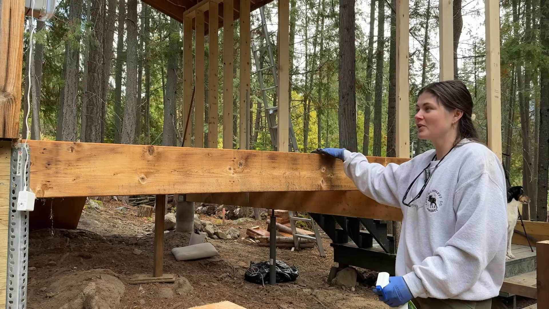 They began framing their cabin extension before the first frost then ...