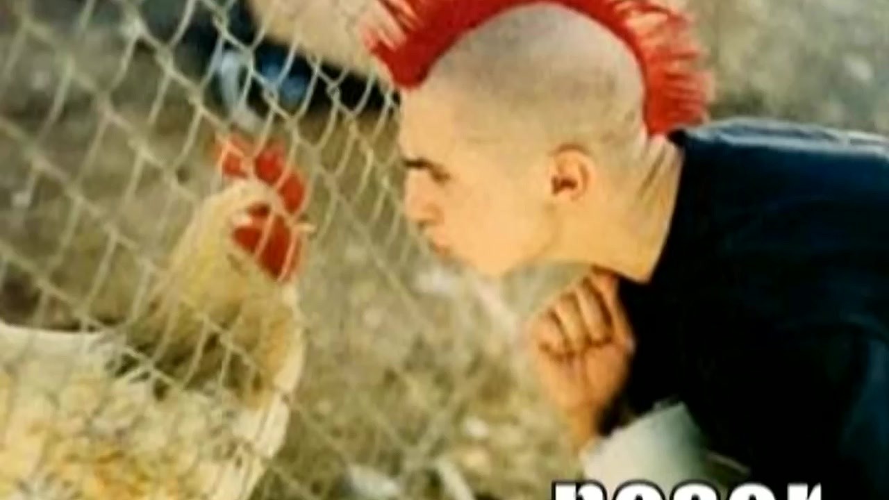 Sonic the Hedgehog isn’t the only weird animal in video games