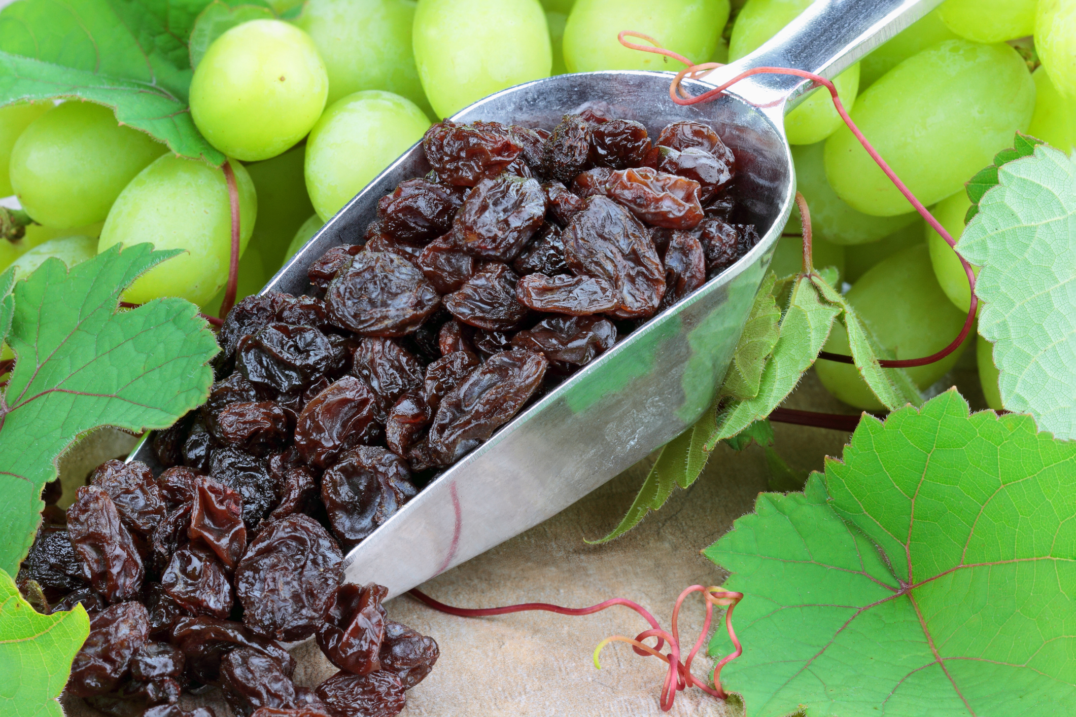 Environmental nutrition: Raisin’ the bar