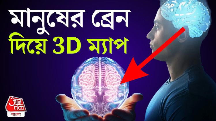Human brain : ভ্রুণ অবস্থা থেকে বৃদ্ধ বয়স, ১০০ টি মস্তিষ্ক নিয়ে থ্রি ...