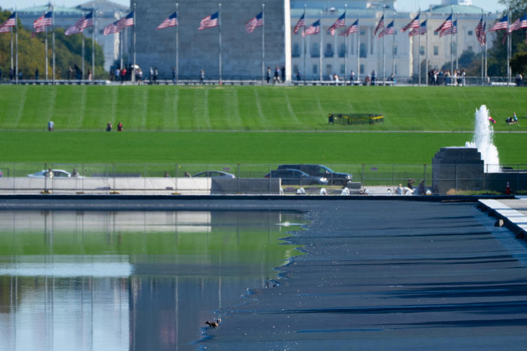 Failure analysis logs more reflecting pool damage than first thought ...