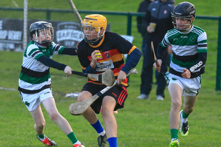 Photos: Scores of young hurlers enjoy Chieftain's Games at Na Magha