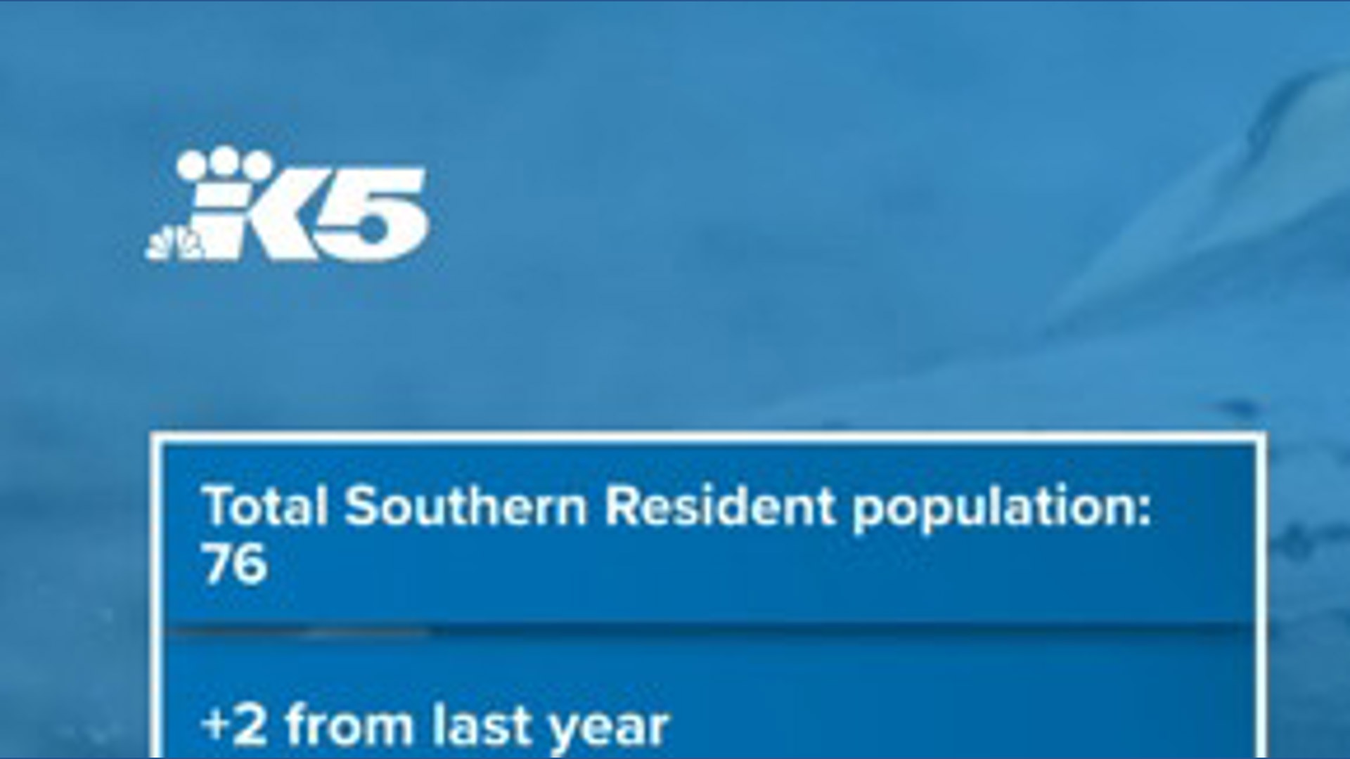 Southern resident orca population grows for second straight year