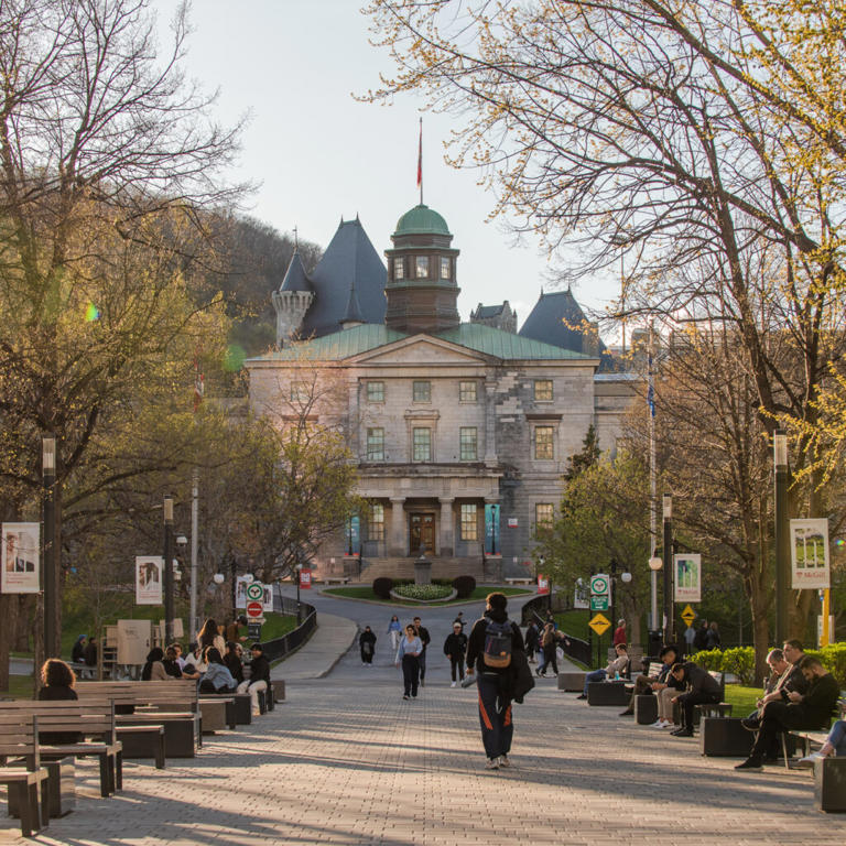 Spotlight on Canada’s top three large universities