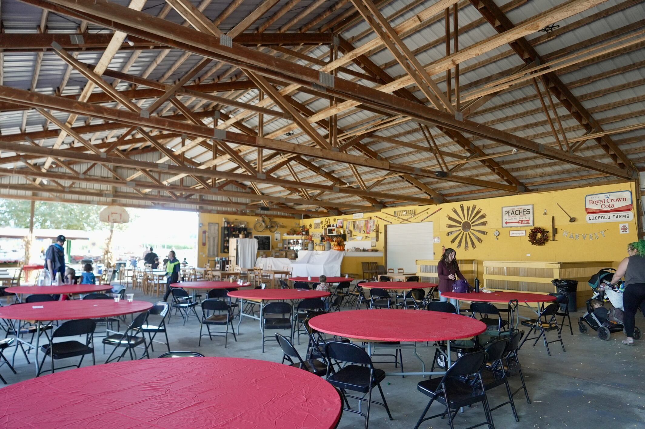 Want more than pumpkins? These Clackamas County farms deliver fall fun