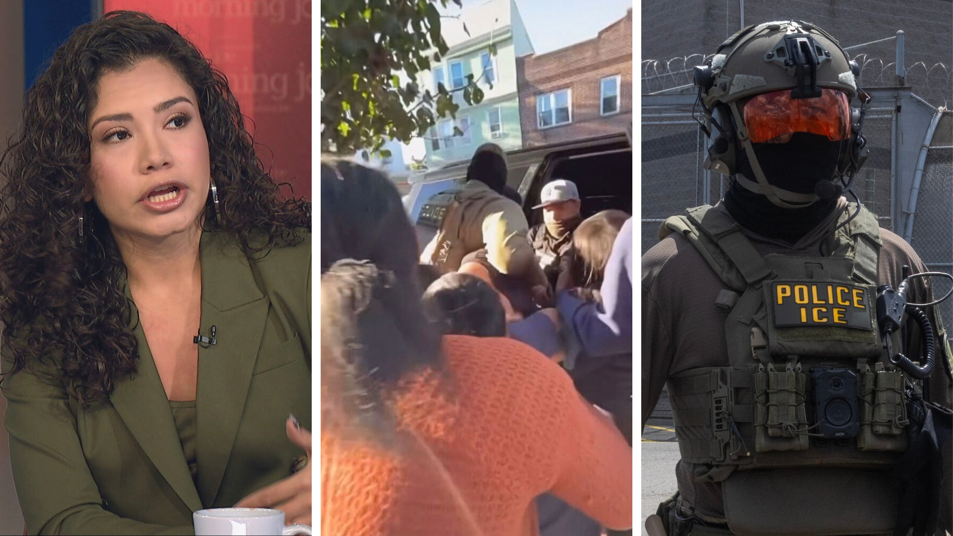 'Reshaping what America looks like': ICE sparks outrage after ...