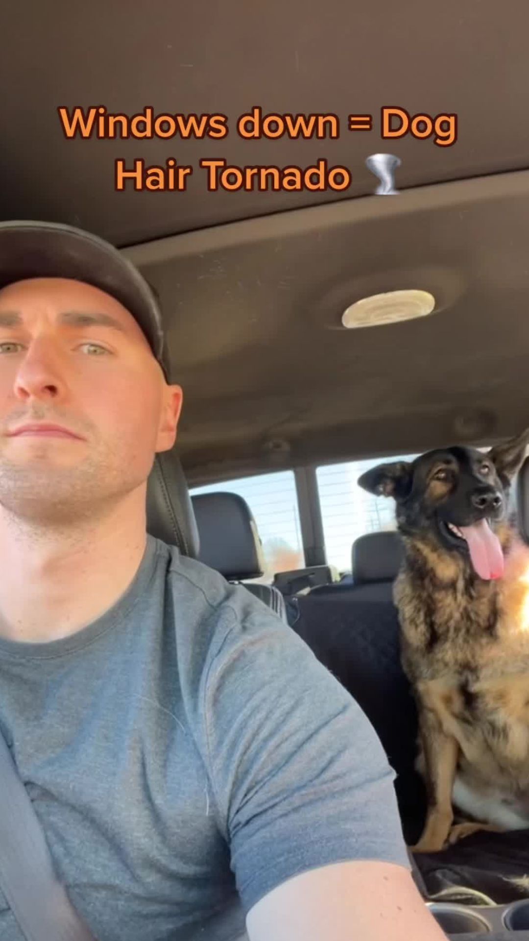 Windows Down Turns Every Dog Ride Into A Hair Explosion