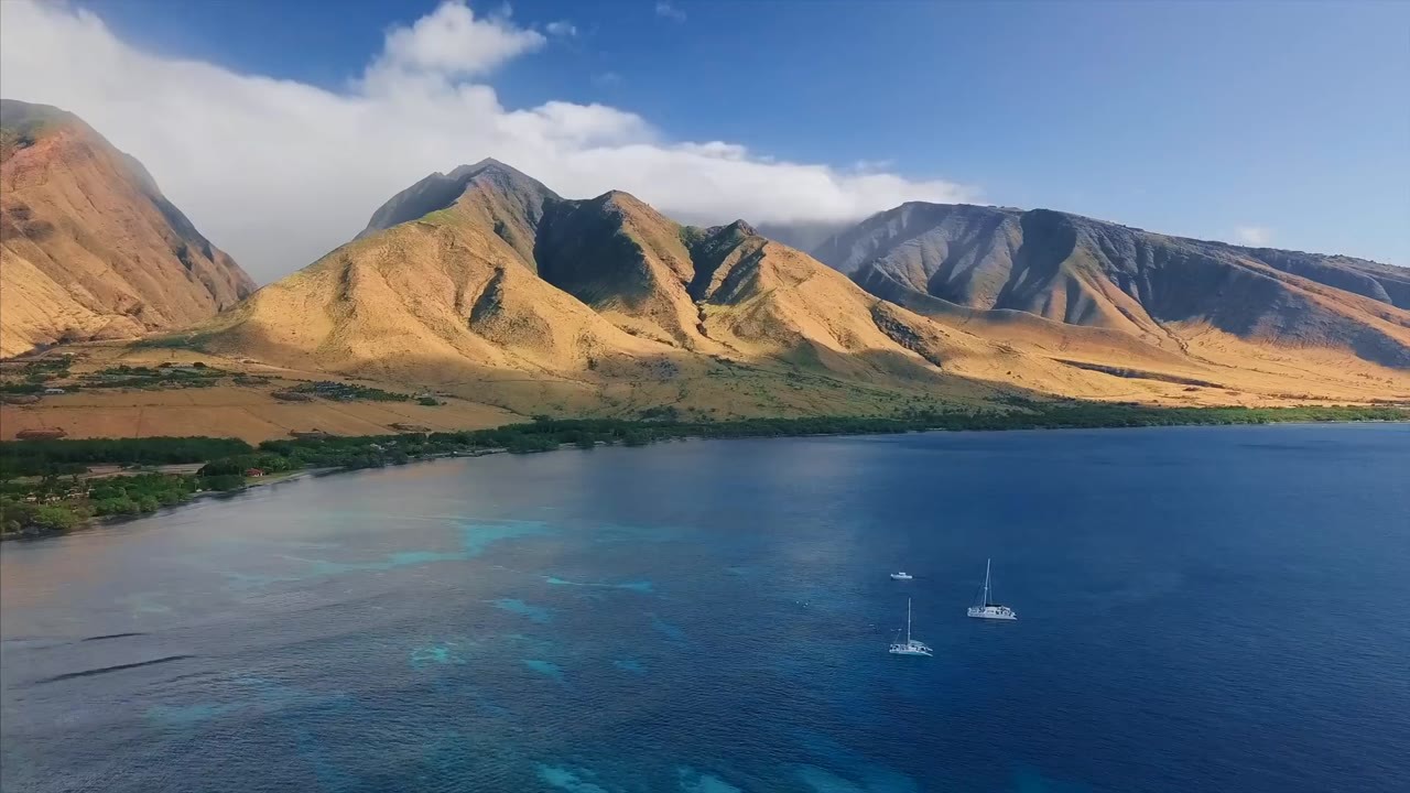 A 14-foot tiger shark swallowed his entire fishing buoy in Hawaii... It ...