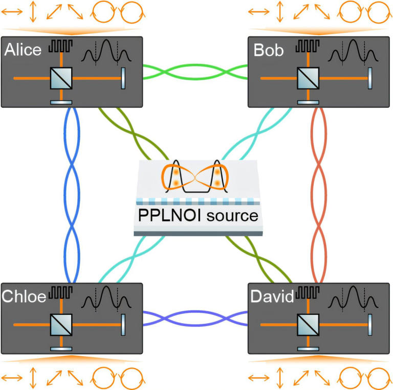 Quantum network test checks entanglement without having to trust detectors