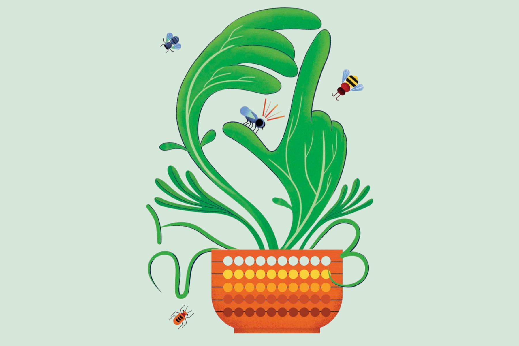 Surprisingly sophisticated: Experts discover a common houseplant can count