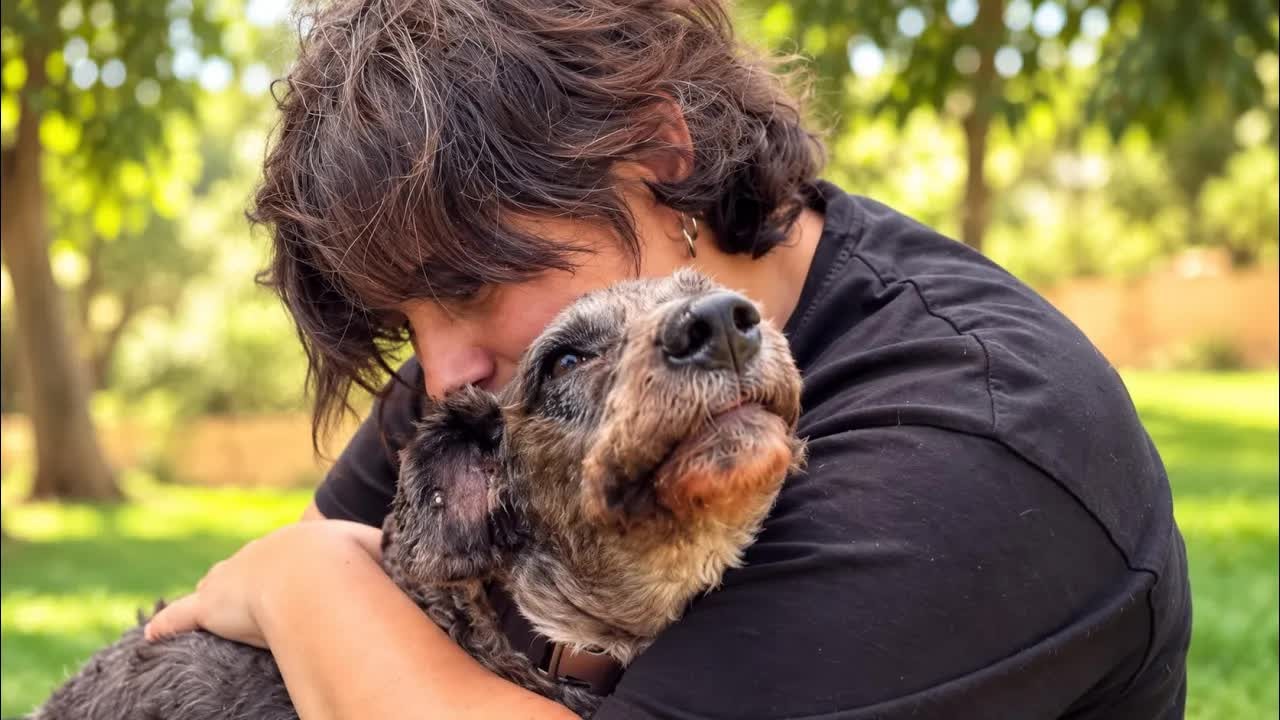 Rufus was shot and abused - but still he chose to trust people with hugs