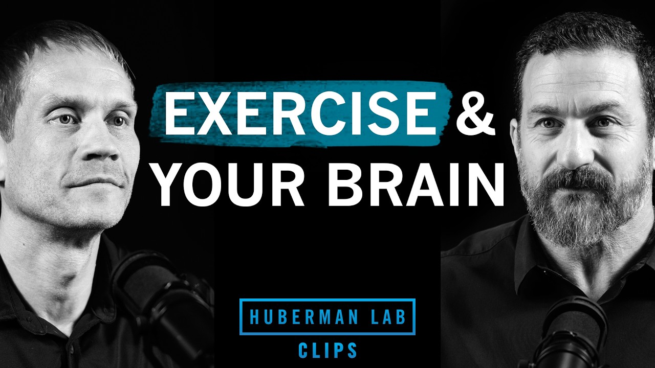 How to exercise for improved cognitive function | Dr. Tommy Wood & Dr ...