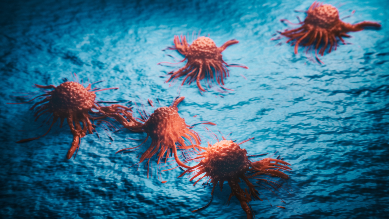 Verastem drug shows strong anti-tumor activity across advanced KRAS ...