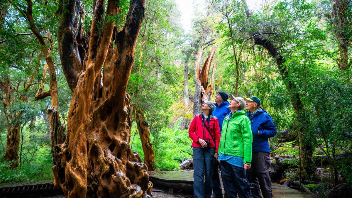 5 small group tour companies that get travel over 60 exactly right ...