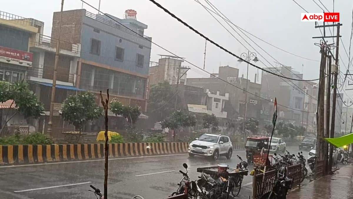 Tamil Nadu experiences heavy rain; waterlogging hits several districts ...