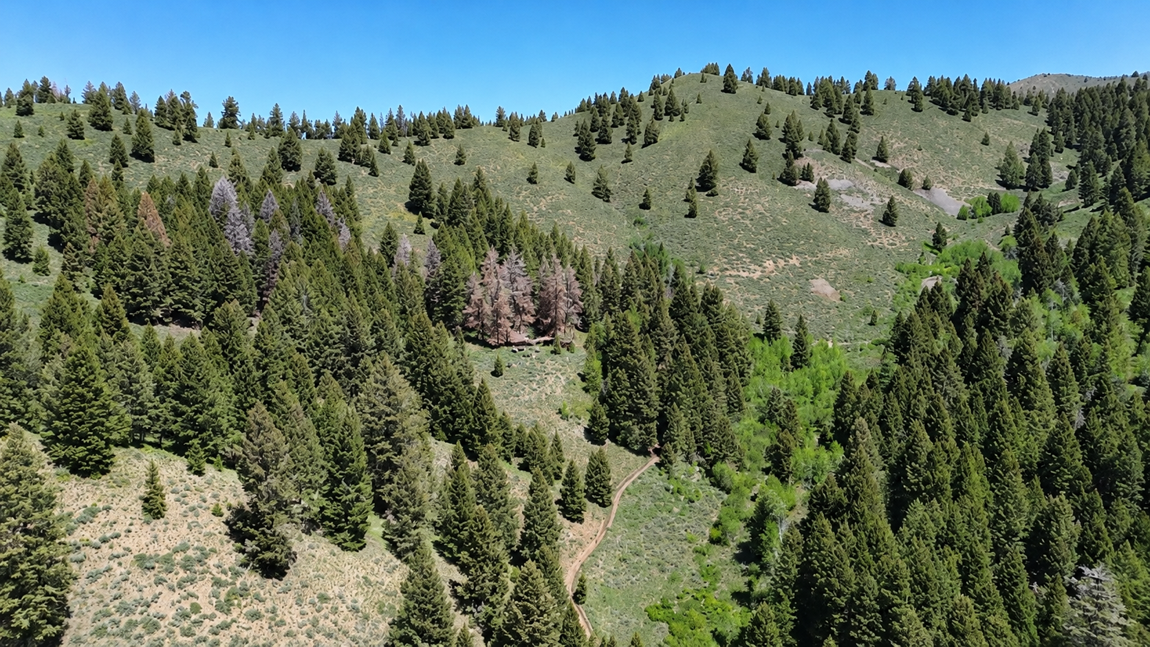 I found an abandoned town unseen for centuries in the remote wilderness