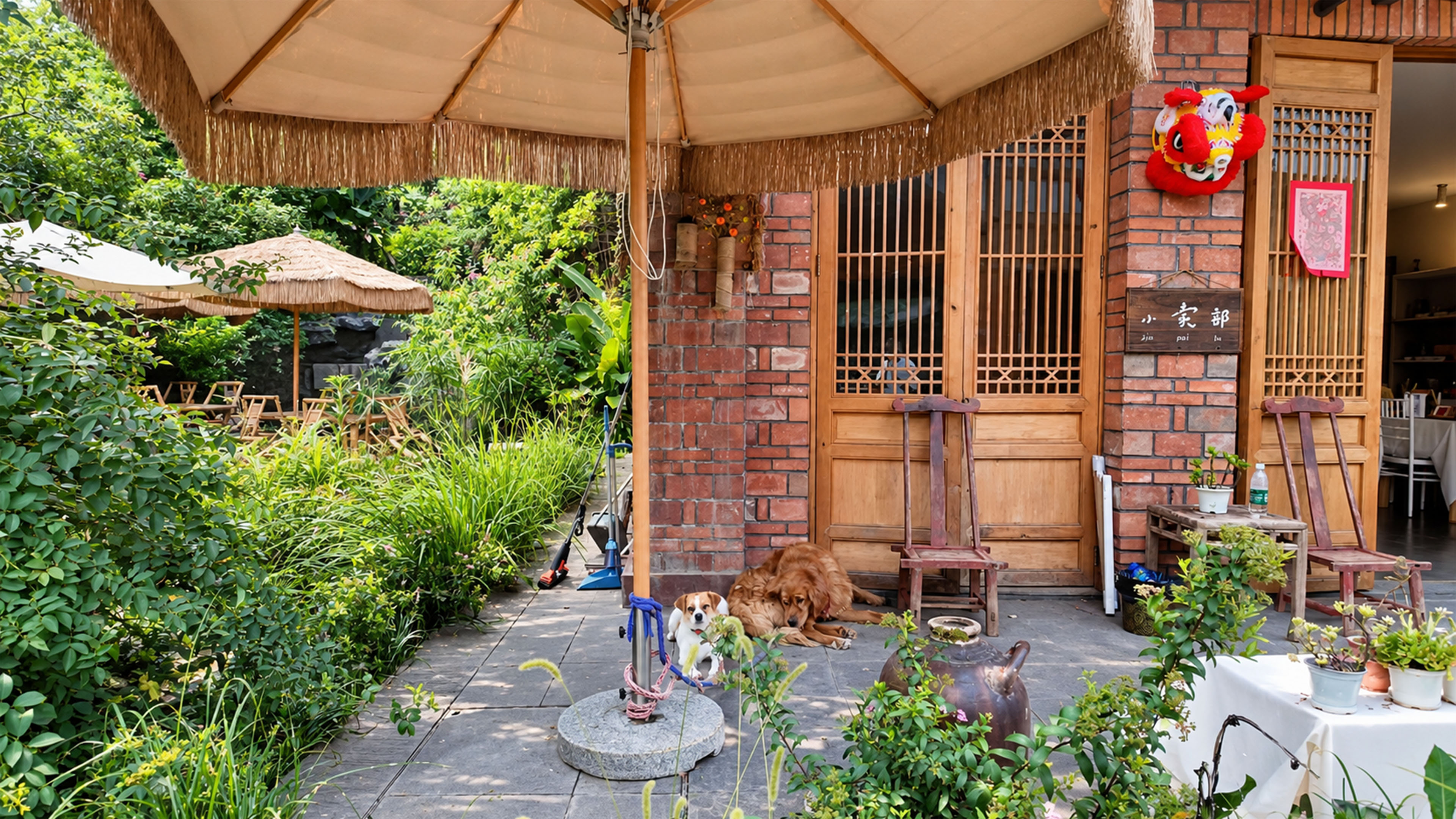 A quiet China tea house garden shelters two dogs
