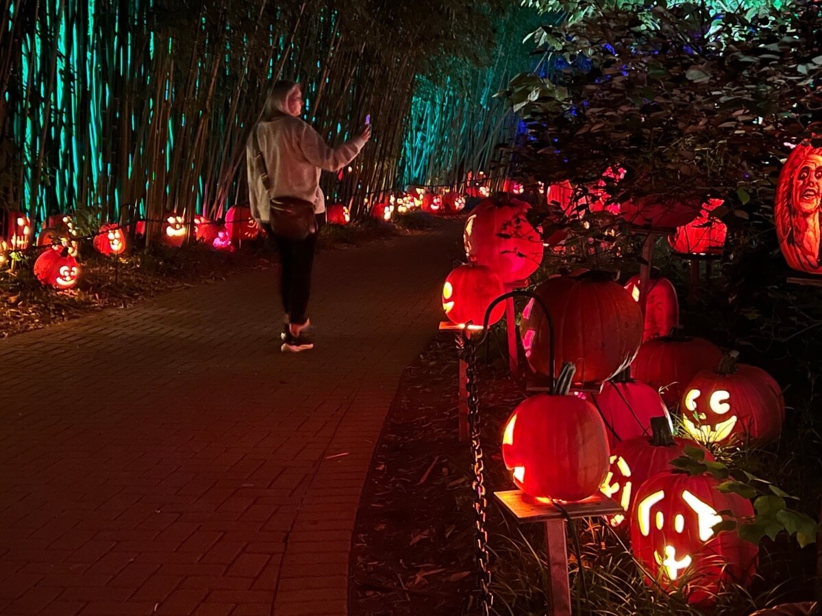 The Cincinnati Zoo has a new reason to draw crowds in October