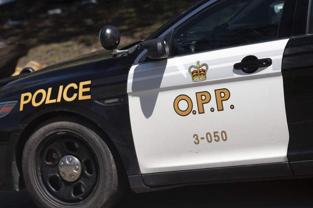 Children, 11 and 9, steal parents’ car for early morning joyride: OPP