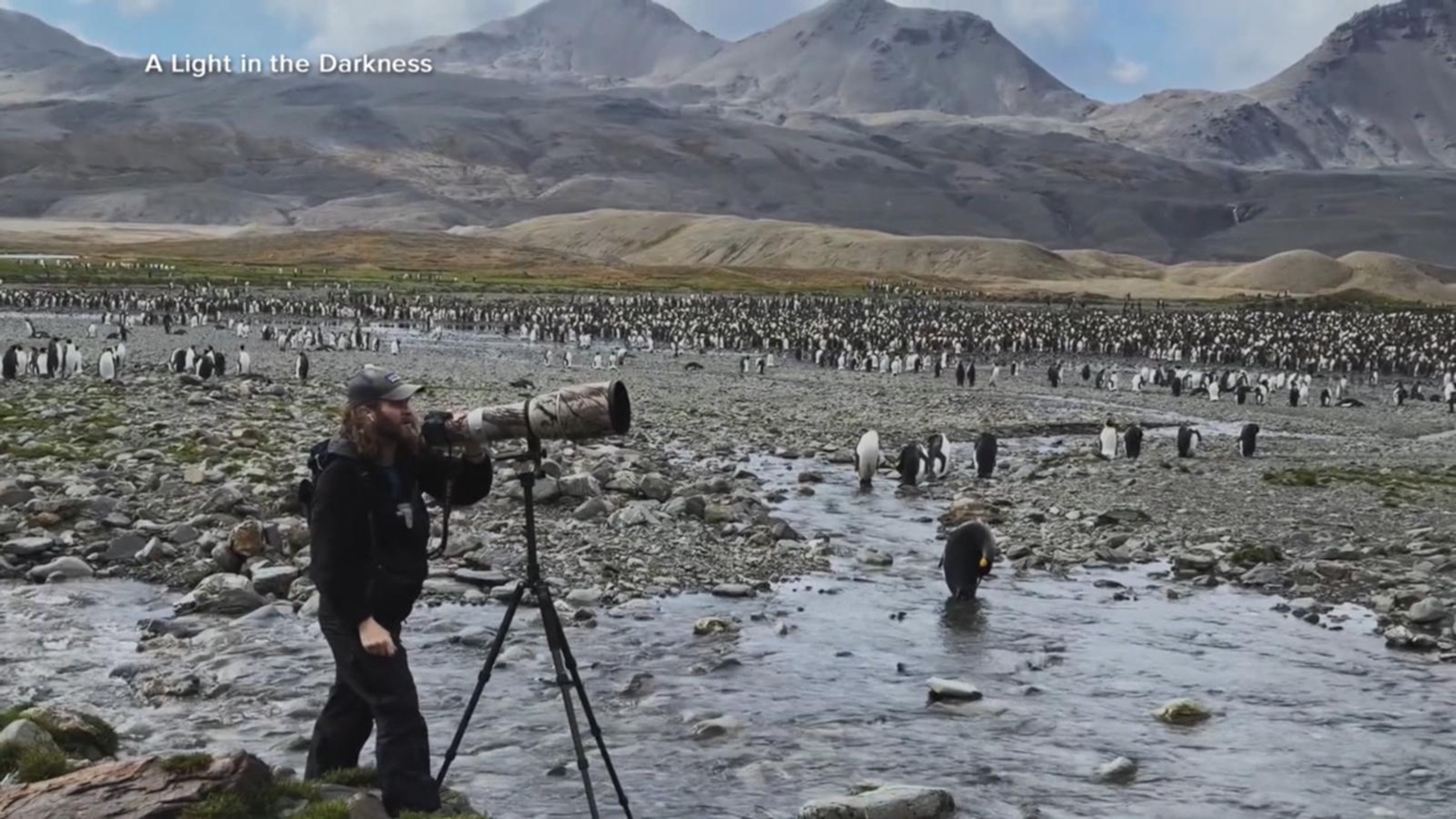 New documentary sheds light on wildlife conservation