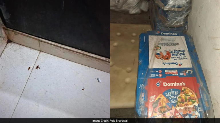 Rats, cockroaches, spoiled food: 3 Domino's outlets lose licences in Mumbai