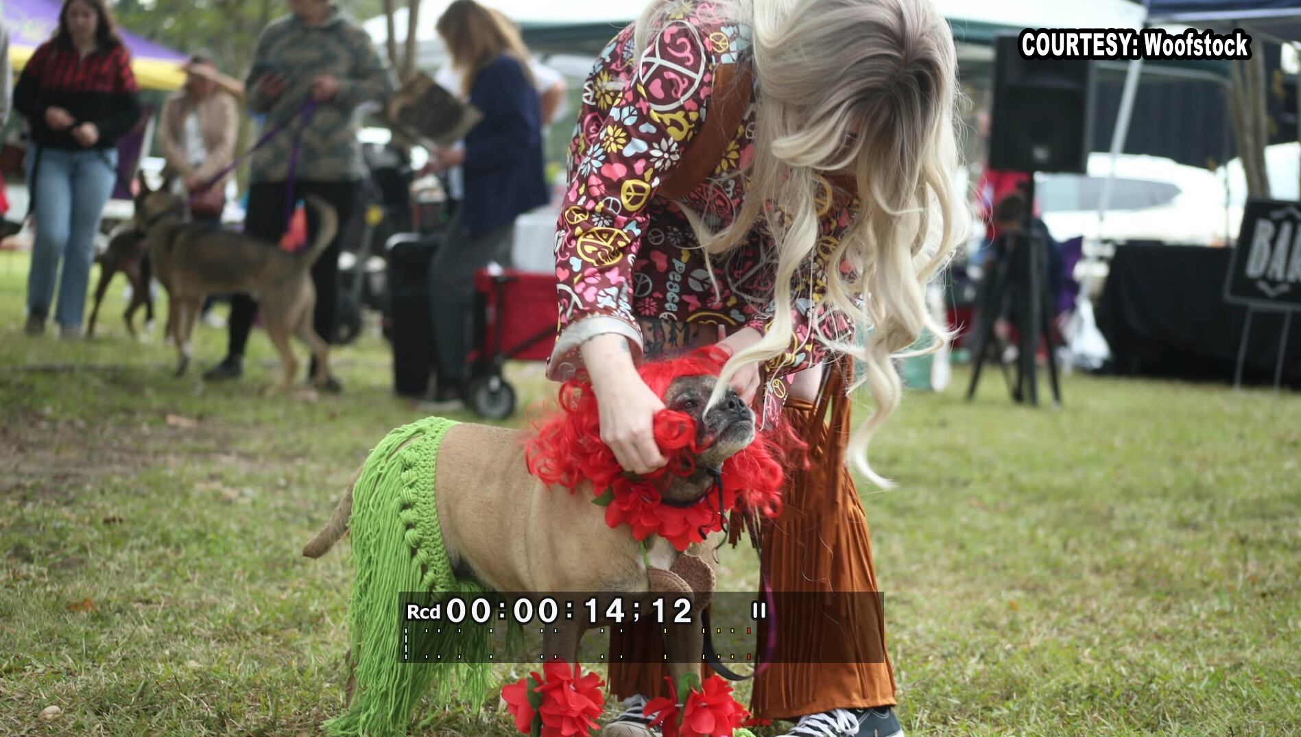 Woofstock, a fundraiser for animal rescues, is back for its 10th year