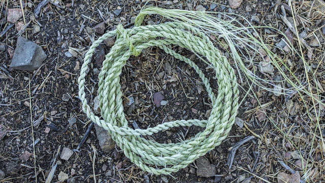 Watch me make yucca cordage
