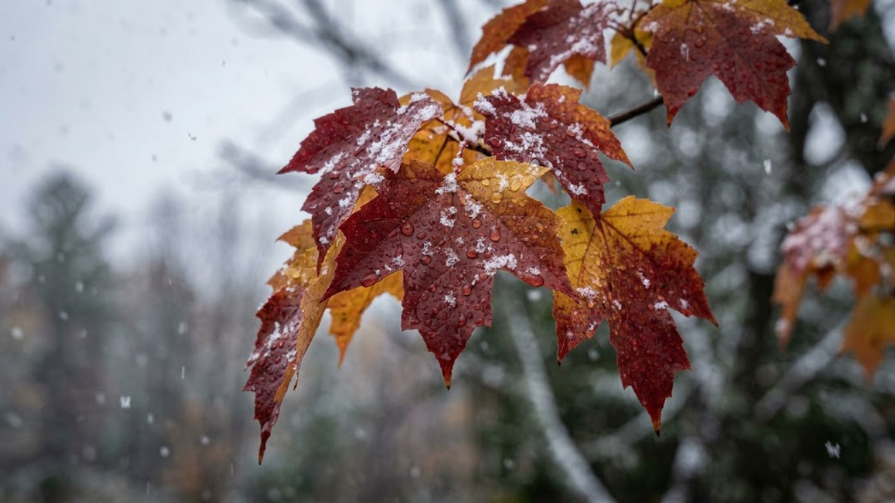 Mid-October chill resembles November conditions in Boston