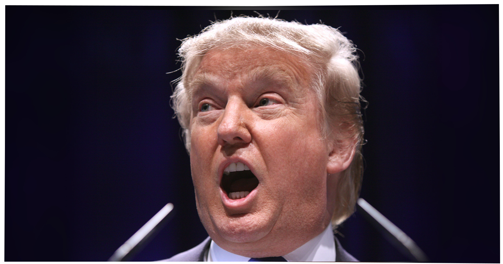 Judge blocks Trump from cutting more trees at DC golf course after 430 ...