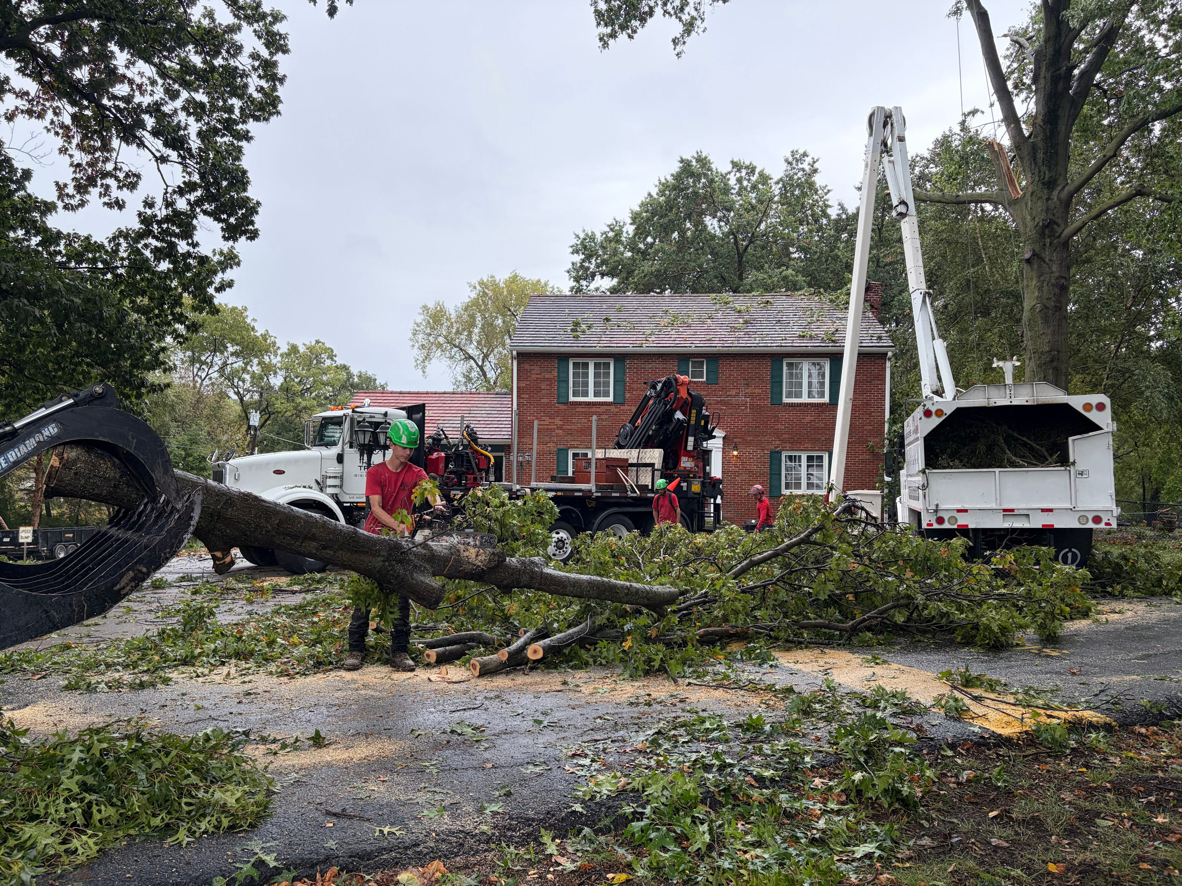 Crews clean up downed trees across Northland after rare October storm