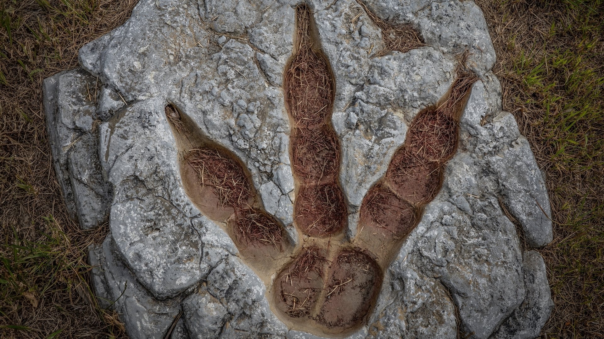 ‘A remarkable discovery for scientists’: Archaeologists discover 130 ...