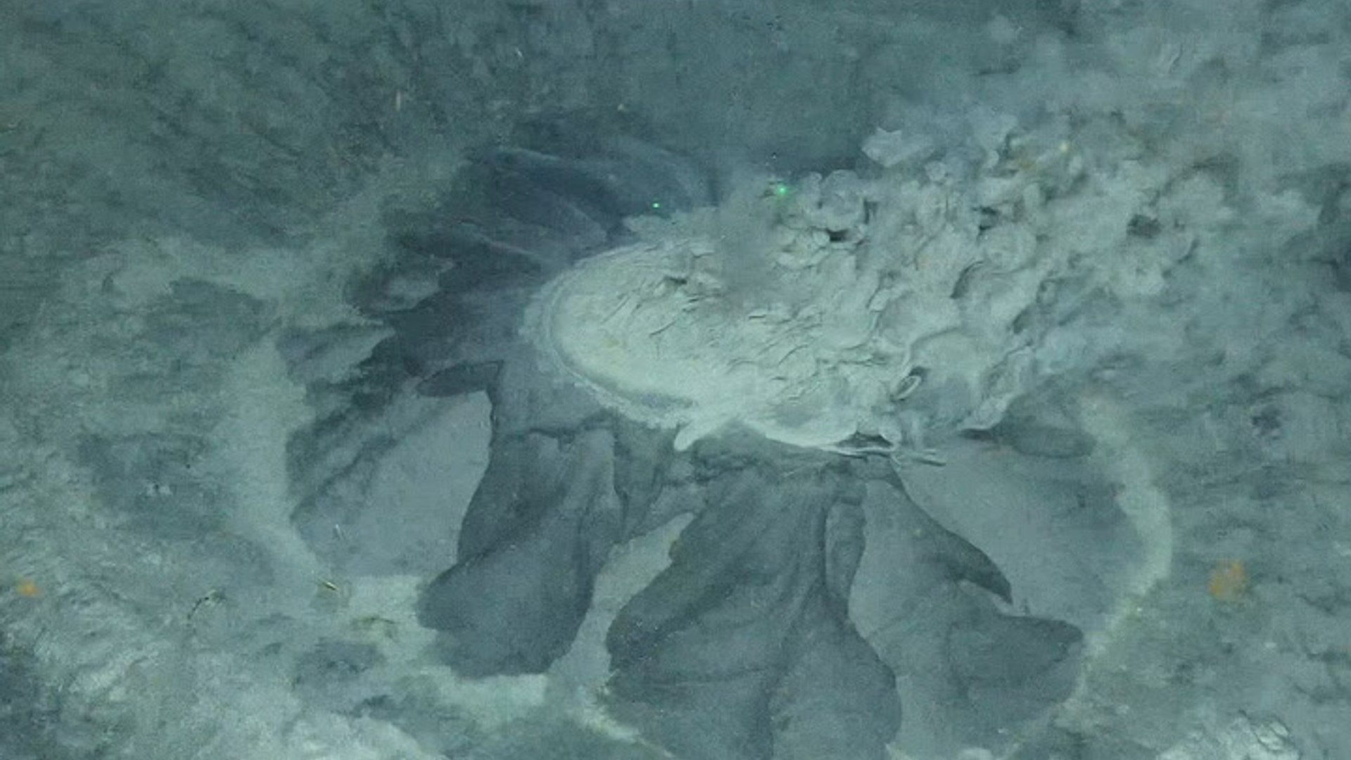 Video captures underwater volcano spewing mud and methane in the ...