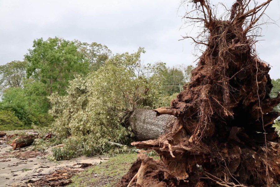 Coffee County seeks residents’ damage reports for federal disaster request