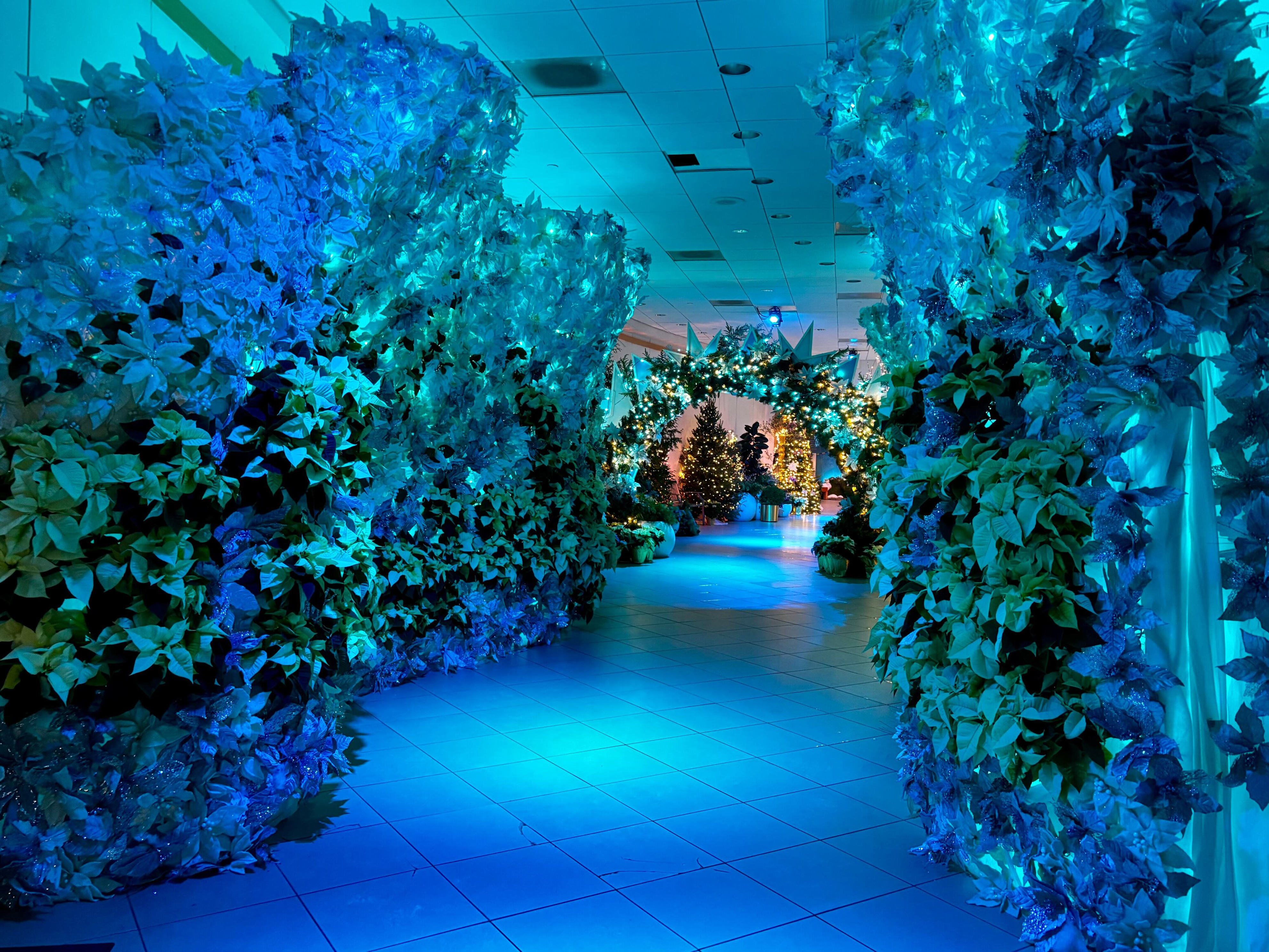 Cleveland Botanical Garden blends tiki, Christmas in new holiday exhibit