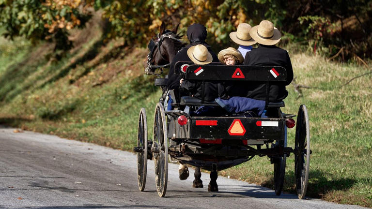Claim NY Democrats are fining unvaccinated Amish children $2K per day ...