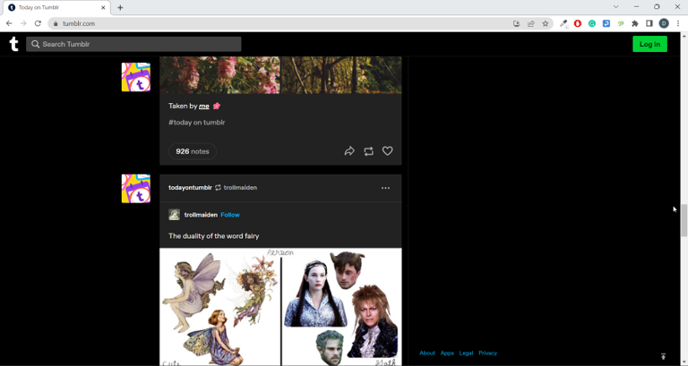 Tumblr not working with VPN? Try these easy fixes now