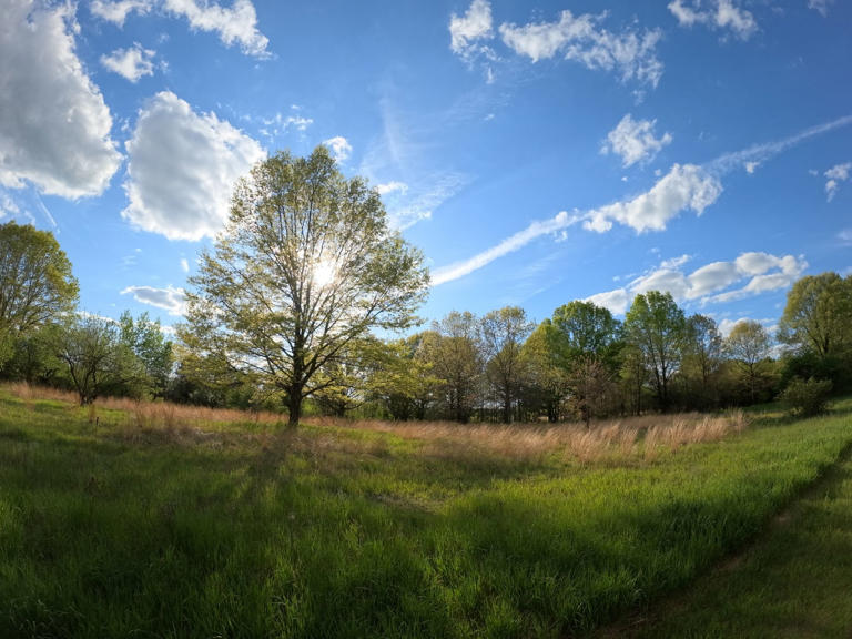 GoPro has fixed the most annoying part of taking photos with the ...