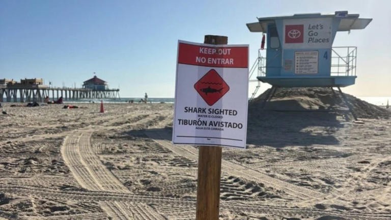 Great white shark’s aggressive behavior shuts down California beach