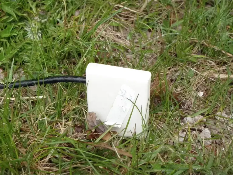 Soil sensors and weather apps are changing when farmers irrigate