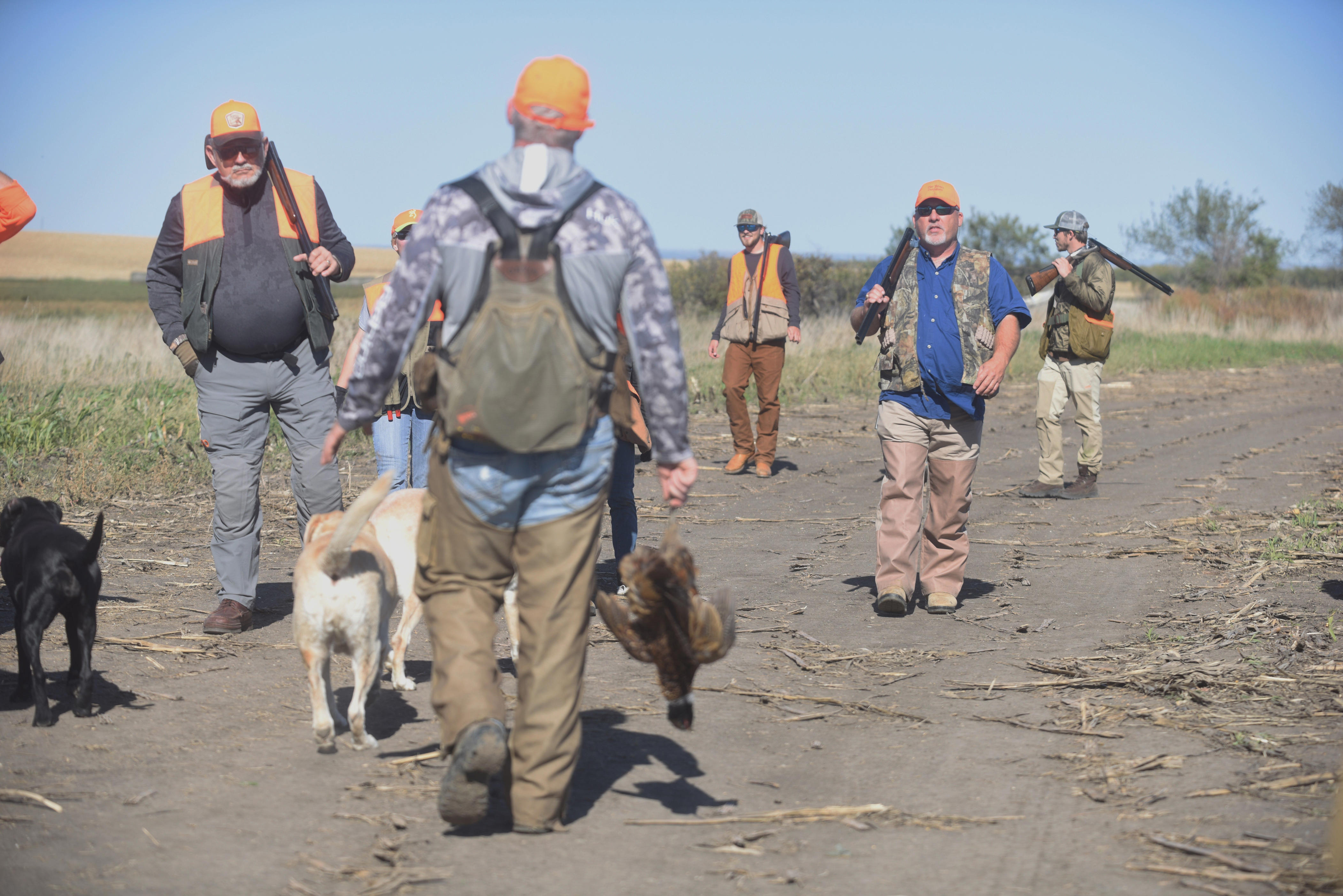 Time for SD's rooster rush: What to know for the 2026 pheasant hunting ...